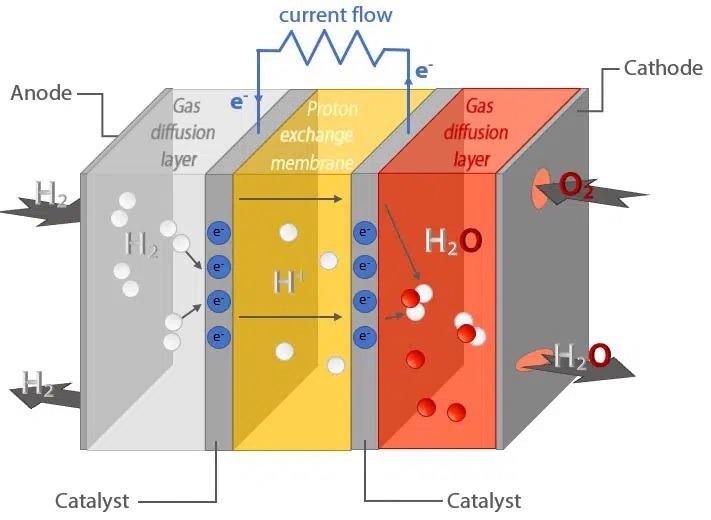 Schematic representation of a proton exchange membrane fuel cell. Two chemical reactions take place at the anode ( 2H2 -> 4H+ + 4e–) and cathode (O2 + 4H+ + 4e– -> 2H2O) consequently generating a current flow.