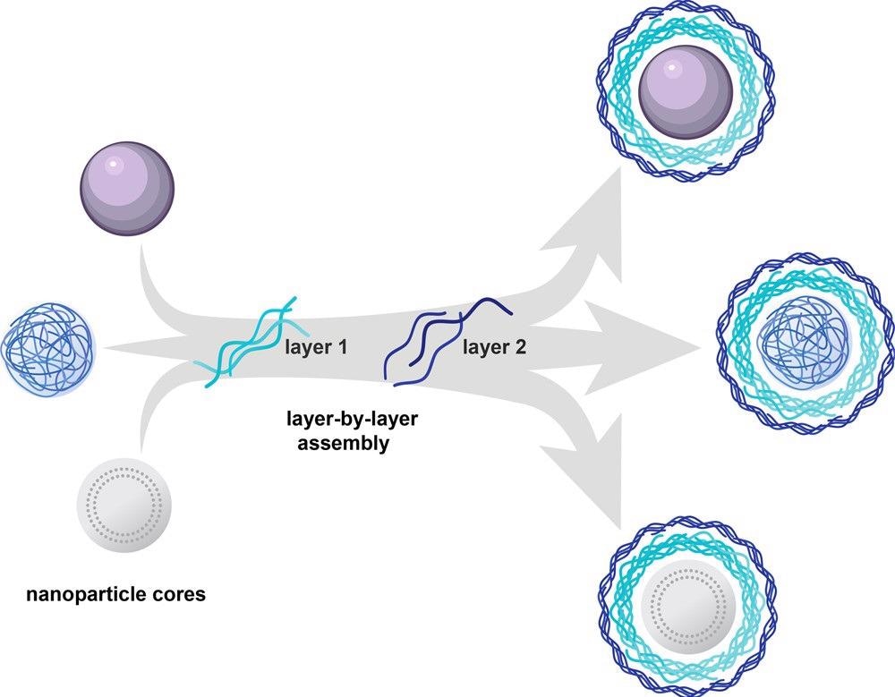 Layer-by-layer assembly can be used to electrostatically coat a wide range of nanoparticle cores with functional polyelectrolytes. The approach enables complete coating of the carrier core and thus decouples the outer layer functionality from physical or chemical characteristics of the core.