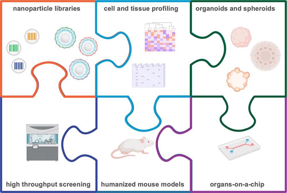Informed nanocarrier design is possible through the use of nanoparticle barcodes, pools, and libraries, which can be interfaced with high throughput screening, biological profiling, and physiological in vitro and in vivo models. Through these integrated approaches, we can gain a more thorough understanding of the biological characteristics necessary for successful delivery of therapeutics.