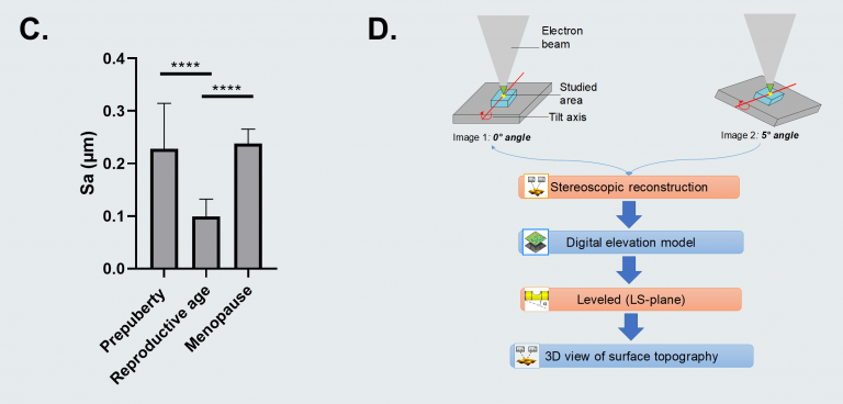 Figure C. Surface roughness measured by calculating the arithmetic average of 3D roughness (Sa) according to calculation conditions defined in ISO 25178. Figure D. 3D stereoscopic reconstruction workflow using SMILE VIEW™ Map software, based on MountainsSEM®. For full statistical details check the source article.