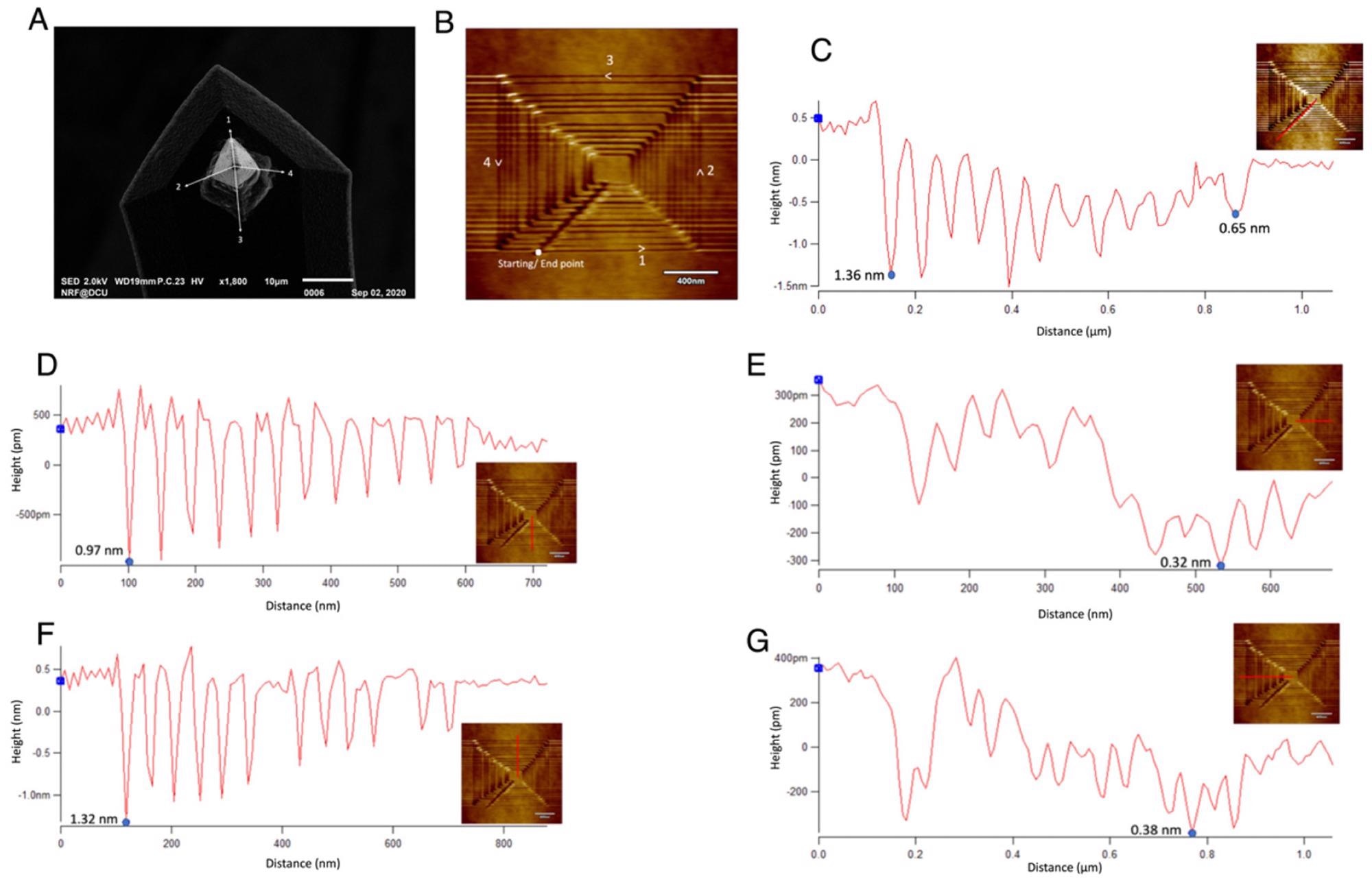 Analysis of different depth rates around the etched concentric square: (A) The SEM image of the diamond tip before scratching the silicon surface (B) The concentric square etched on the surface indicating the direction of tip motion and the sides of the tip with which the lines were in contact (C) The line profile along with the starting/endpoint, (D) The line profile along the rightward horizontal section where the AFM tip side 1 was in contact (E) The line profile along the upward vertical side where AFM tip side 2 was in contact (F) The line profile along the leftward horizontal plane where the AFM tip side 3 was in contact (G) The line profile along the downward vertical side of the concentric square where the AFM tip side 4 was in contact. The inset figures on the line profile show the representation of the lines on each side of the square.