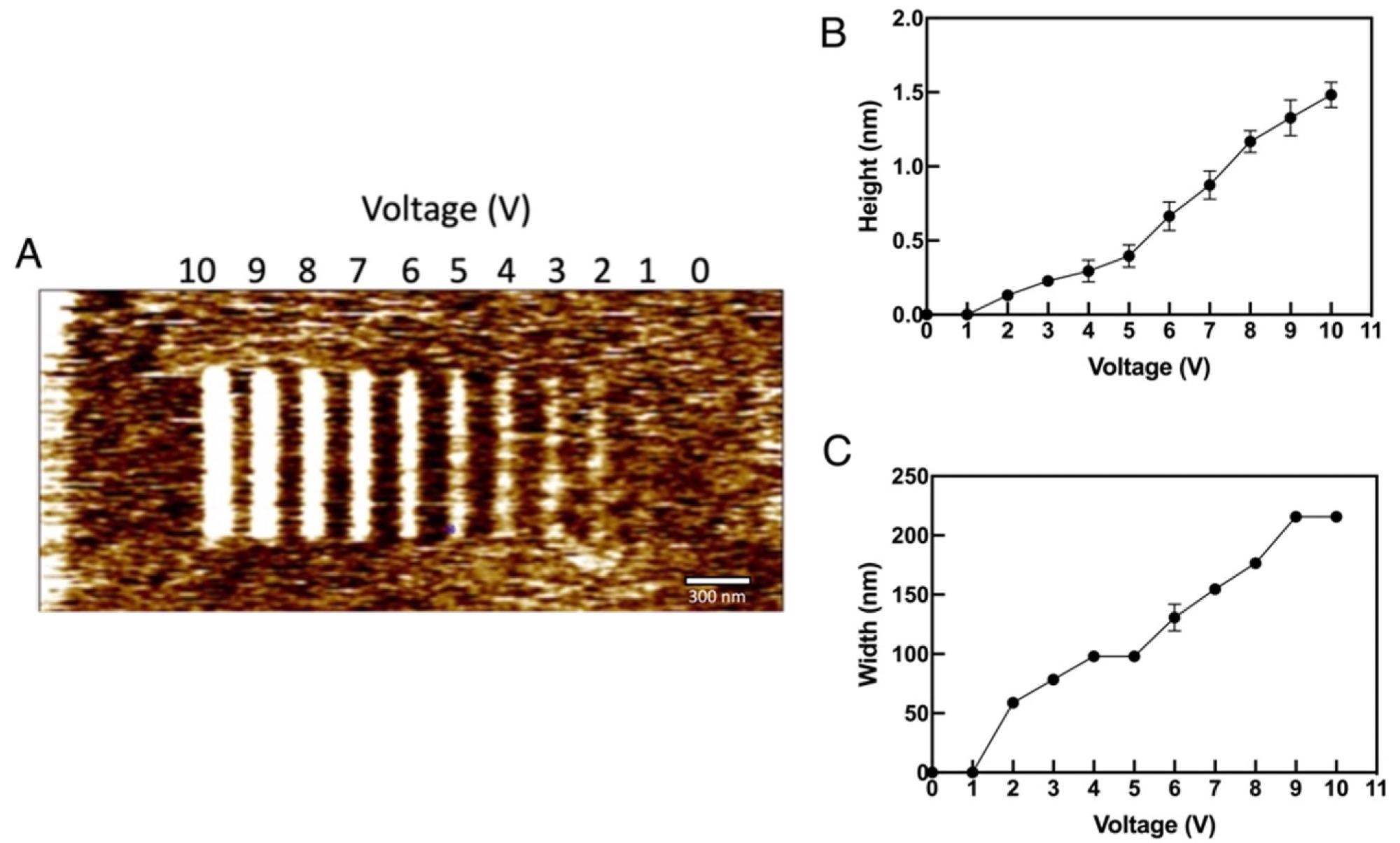 The LAO formation over HF treated silicon: (A) The formation of oxide deposits over HF treated silicon with different tip voltages ranging from 0 V to 10 V (B) The height vs. tip voltage characteristics and (C) The width vs. tip bias graph. FT = 0.1 µN, VT = 1 µm/s and RH ~26%.