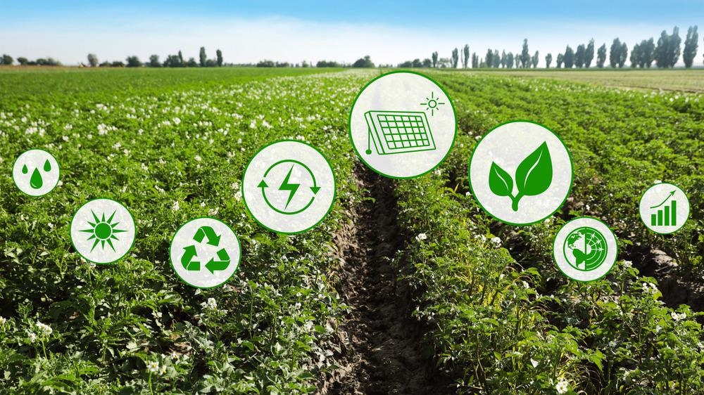 Magnetic Nanomaterials in the Agritech Sector