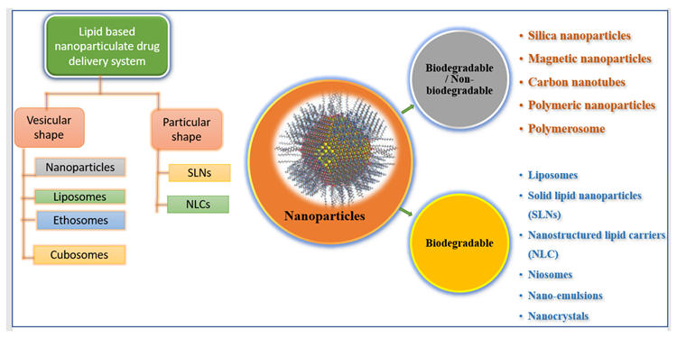Illustrating various types of nano-formulations