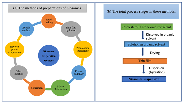 Schematic diagram of (a) the methods of preparations of niosomes and (b) the joint process stages in these methods.