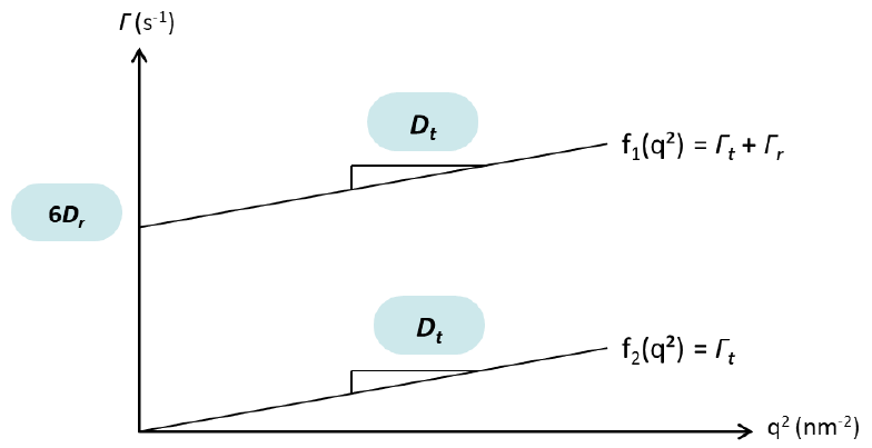 Graphical determination of the translational and rotational diffusion constants from the decay rates determined by fitting the autocorrelation functions Gvv(t) and Gvh(t) of scattered light intensity fluctuations in parallel (v-v) and in perpendicular (v-h) polarizations.