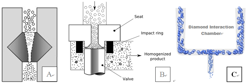 Three-Types Homogenizing Mechanism in History.