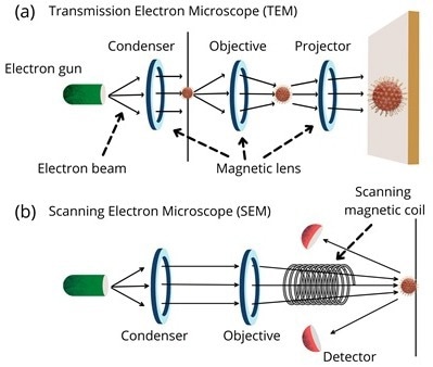 scanning electron microscope block diagram