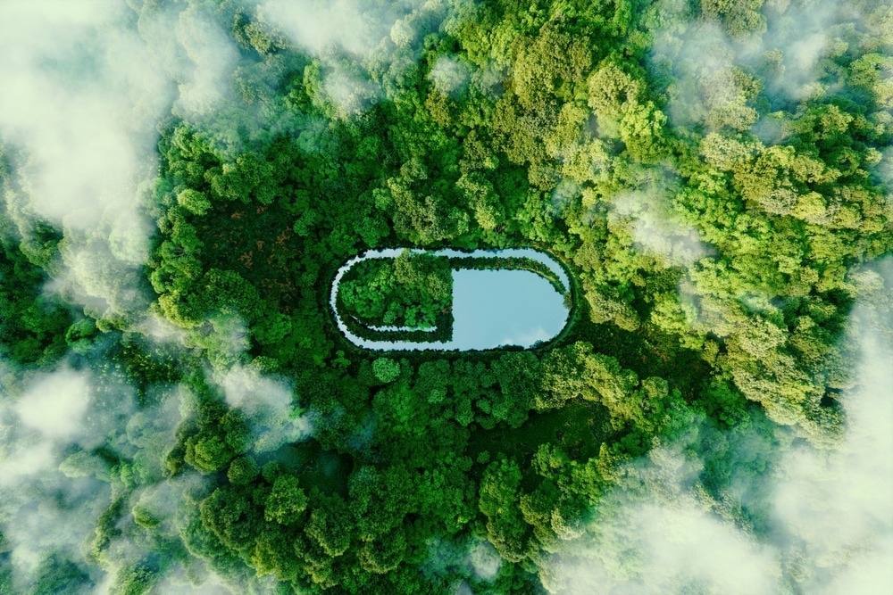 Sustainable Nanomedicine; An Eco-Friendly Approach to Healthcare