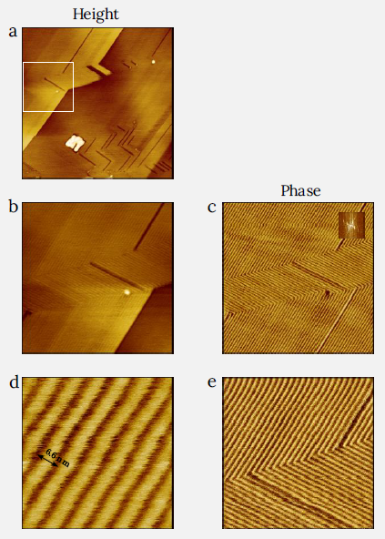 Height and phase images of F12H12 layer on HOPG. The angles between sets of differently oriented lamellae are close to 90 degrees as evidenced by Fourier transform pattern in the insert in top right corner of (c). The white rectangle in (a) shows the location of the zoomedin area in (b,c) (a) Image size: 1 x 1 µm2, height range: 2 nm. (b,c) Image size: 0.4 x 0.4 µm2, height range: 1.5 nm, phase range 2°. (d) Image size: 50 x 50 nm2, height range: 0.25 nm.