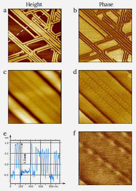 Height and phase images of F12H20 selfassemblies on MoS2.The height profile along the direction shown with white dashed line in (a) is presented between images (c) and (d) (a,b) Image size: 1 x 1 µm2, height range: 2.5 nm, phase range 20°. (b,c) Image size: 0.15 x 0.15 µm2, height range: 2 nm, phase range 6°. (f) Image size: 50 x 50 nm2, phase range 5°.
