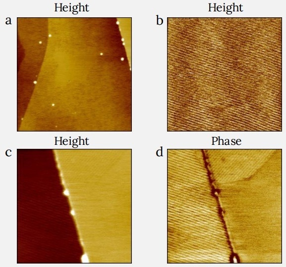 Height (a,b,c) and phase (d) images of C60H122 layer on HOPG. (a) Terraces of HOPG with fine line features representing the alkane assemblies, small droplets are likey the alkane matertial, not spread on the surface. (b) Zoom in the center of the image (a) showing a periodic pattern of alkane assemblies with the period of 7.5 nm. (c,d) Height and phase images showing two HOPG crystalline terraces with the arrays of linear features with different orientations. (a) Image size: 1 x 1 µm2 , height range: 2.4 nm. (b) Image size: 0.4 x 0.4 µm2 , height range: 0.1 nm. (c,d) Image size: 0.4 x 0.4 µm2 , height range: 1.8 nm, phase range 48°.