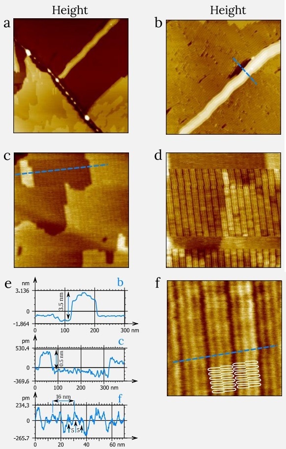 Height images of C122H246 layer on HOPG. The low tip-force interactions were used for images in (a)-(c). The image in (d) was recorded at low and high tip-forces: the scanning started at the top of the image at low force, later the force was increased, and the visibility of lamellar structures has improved. (e) The cross-sections along the blue dashed lines in images (b,c,f). (f) A tentative pattern of lateral chain folding was overlayered on the height image. (a) Image size: 1.5 x 1.5 µm2 , height range: 7 nm. (b) Image size: 1 x 1 µm2 , height range: 5 nm. (c) Image size: 0.5 x 0.5 µm2 , height range: 3 nm. (d) Image size: 0.3 x 0.3 µm2 , height range: 1.2 nm. (f) Image size: 76 x 76 nm2 , height range: 0.5 nm.