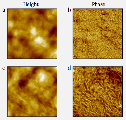 Height (a) and phase (b) images of LDPE film measured with CleanDrive technique. The sample was prepared by spin-cast of its toluene solution on Si substrate. Image size: 2 x 2 µm2, height range: 75 nm, phase range 55°. (c) and (d) images were recorded on the same sample with the image size 0.6 x 0.6 µm2, height range: 33 nm, phase range 25°.