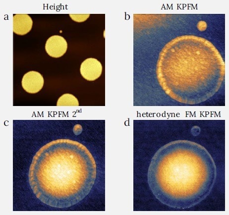 Comparison between the AM and FM KPFM modes on aluminium dots on gold sample. The image demonstrates the amplification of the KPFM signal between the AM KPFM on 2nd eigenmode and the off-resonance AM KPFM. One can also see the topography signal mixing with the KPFM signal for both AM modes. The heterodyne KPFM is showing cleaner signal without topography cross-talk. (a) Image size: 20 x 20 µm2, height range: 250 nm, (b) Image size: 7 x 7 µm2, CPD range: 0.4 V, (c) Image size: 7 x 7 µm2, CPD range: 0.45 V, (d) Image size: 7 x 7 µm2, CPD range: 0.47 V.