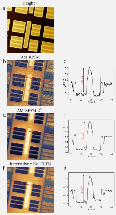 Comparison between the AM and FM KPFM modes on SRAM sample. The cross sections of the CPD scan demonstrate steady increase of difference between the maxium and minimum in CPD starting from the off-resonance AM KPFM, followed by the AM KPFM on 2nd eigenmode and heterodyne FM KPFM. Image size: 40 x 40 µm2. (a) height range: 600 nm, (b) CPD range: 0.55 V, (c) CPD range: 0.61 V, (d) CPD range: 0.72 V. (c), (e), (g) demonstate cross sections of (b), (d), (f), made along red lines.