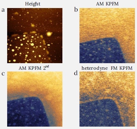 Comparison between the AM and FM KPFM modes on CVD graphene sample. Image size: 4.5 x 4.5 µm2. (a) height range: 20 nm, (b) CPD range: 325 mV, (c) CPD range: 470 mV, (d) CPD range: 540 mV.