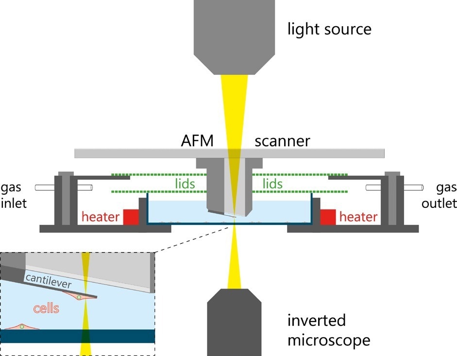 Schematic of the PicoBlance setup.