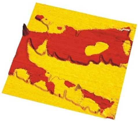 Piezo phase response from a thin film CuInP2S6 grown on a silicon surface imaged with DFRT PFM showing oppositely polarized domains while applying <1 V of AC modulation.
