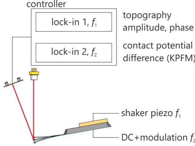 Schematic of KPFM.