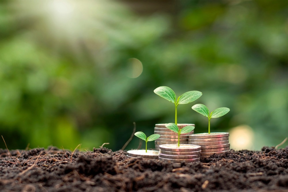 The Economic Benefits of Nanofertilizers