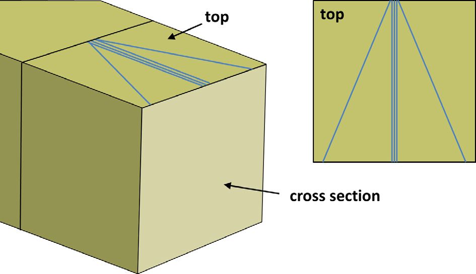 Perspective and top view of the VOI. The outer blue lines are fiducials used for adaptive tracking of the slice thickness. The central lines are used for drift correction, auto-focus and auto-stigmation.