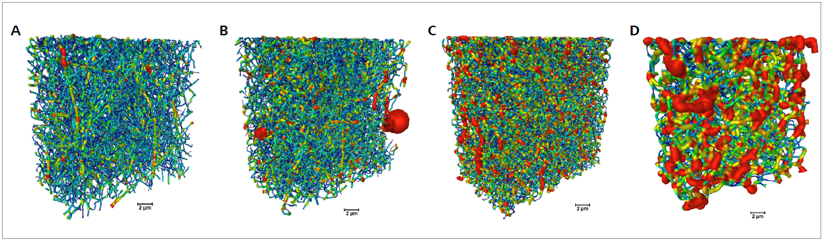 Fiber characterization for samples cross-linked for different times (0 to 120 min from A to D, respectively). The volumetric color-maps encode the thickness of the fibers, which is correlated to the duration of cross-link (scale bar: 2 µm).