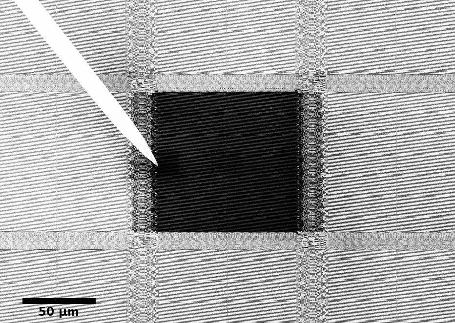 Highlighting an interconnected circuit area by biasing with a microelectrode tip