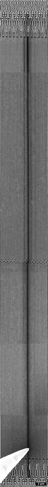 Montage of seven images recorded by moving the scan along a highlighted interconnect line over more than 90 µm using the large beam shift option of the GEMINI column.
