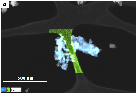 High resolution EDS mapping of CeO2 nanoparticles deposited on a carbon grid measured at 30 kV. The corresponding EDS spectrum obtained in two different configurations. In the favorable configuration (c) the stray signal from the STEM detector / sample chamber is reduced.