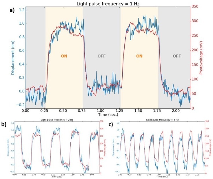 a) Comparison of the displacement and photo-induced voltage versus time, with a light pulsed at a switching frequency equal to 1 Hz. The device behaviours in time at frequencies equal to 2 and 4 Hz are shown in b) and c) respectively