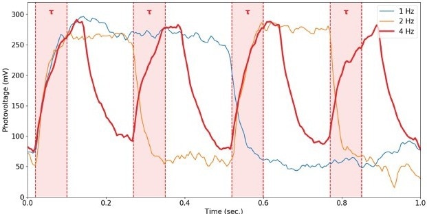 Photovoltage vs. time for light pulse frequency of 1, 2, and 4 Hz. The rising time of the photovoltage measured at 4 Hz is represented with a red background