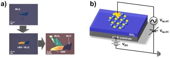 a) Optical microscope images of the transfer process for 2D vdW heterostructures (MoS2/hBN/MLG). b) Representative schematic of the KPFM setup with applied VBG for the 2D materials on a SiO2/Si substrate. The scale bars in a) are 20 µm