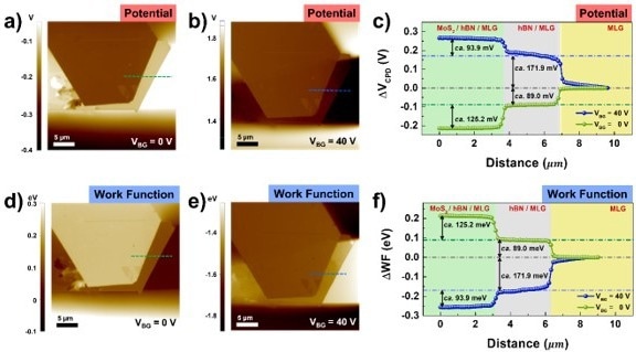 KPFM images of multilayer vdW heterostructure (MoS2/hBN/MLG): a, b) surface potential and d, e) work function in the case of VBG = 0 V (a, d), or VBG = 40 V (b, e). Line scan profiles of potential (c), and work function (f), which are indicated in a, b), and d, e) respectively. The scale bars in a, b, d, e) are 5 µm