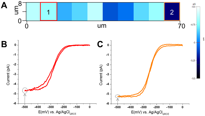 (A) Electrochemical current maps at -0.5 V vs Ag/AgCl on HOPG surface. Image is generated from a series of LSVs taken with the same nanopipette filled with 5 mM [Ru(NH3)6]3+ and 50 mM KCl. The scan rate is 10 mV/s with the bias voltage starting from 0 and swept to -0.5 V vs Ag/AgCl.(B)& (C) Individual LSVs taken at position 1 and 2