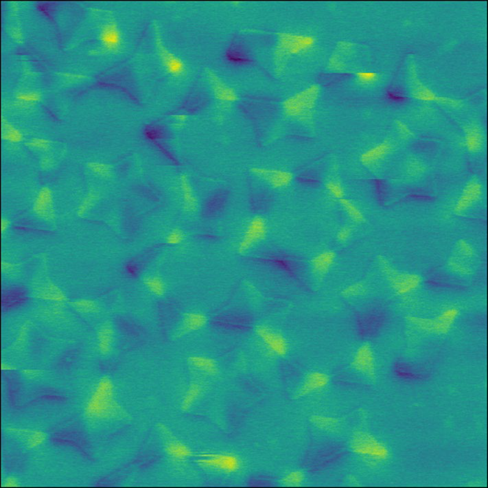 MFM image of stray magnetic fields between the nanomagnets in artificial spin ice. Arrays of nanomagnets are being used in neuromorphic devices to mimic how the brain operates in order to increase computation capabilities without scaling up power consumption. MFM, and variable magnetic field sample holder were used to study the evolution of these magnetic structures and how they interact with each other. Image size: 13 x 13 µm2.