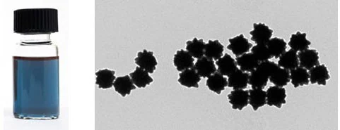 TEM of 100 nm Gold NanoUrchins.