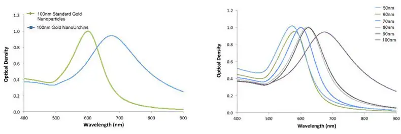Left - UV-VIS spectra of 100 nm Gold NanoUrchins (blue) and 100 nm standard gold nanoparticles (green). Note the red-shift in the SPR-peak. Right - UV-VIS spectra of Gold NanoUrchins ranging in size from 50 nm to 100 nm in diameter.