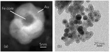 (a) Z-Contrast image of an Au-coated Fe nanoparticle obtained by scanning transmission electron microscopy. (b) Transmission electron microscopy image of Au-coated Fe nanoparticles
