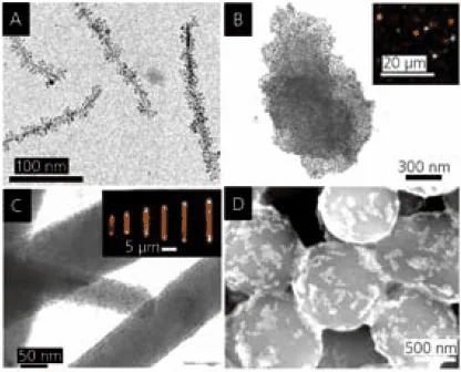 LiMo3Se3/Fe3O4 nanocompasses. B. Ca2Nb3O10/Au nanoparticle mirrors (inset: optical micrograph showing reflection). C. ZnO/CdSe light emitters (inset: optical micrograph showing directional fluorescence). D. SiO2/Au thiol sensors (after reaction with dodecanethiol).