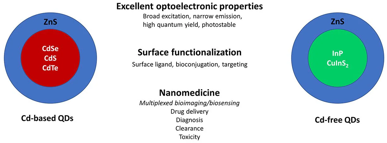 Cd-based vs. Cd-free QDs for applications in nanomedicine. Core/shell QDs based on Cd cores (CdSe, CdS, CdTe) with ZnS have been the prototypical platform for QD-based sensing and imaging. More recently, QDs based on non-Cd cores such as InP and CuInS2 are being investigated as Cd-free options for these applications