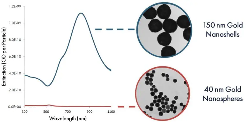 Per particle optical extinction (optical density per particle) as a function of wavelength for 40 nm gold nanospheres and 150 gold nanoshells
