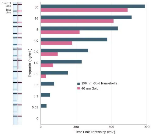 Sensitivity of lateral flow assay for Troponin I using 150 nm gold nanoshells and 40 nm gold nanospheres as reporter particles