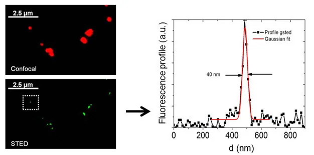 Confocal and super-resolution gSTED microscopy image of 25 nm fluorescent nanobeads (Prod No. 797901). The high brightness and photostability of the nanobeads easily allows a strong improvement in lateral resolution. In these applications, an accurate control of the particle size is crucial, and our nanobead products offer the best quality enabling superior imaging. The biocompatibility of the nanobeads opens up a wealth of applications in both in-vitro and in-vivo systems.