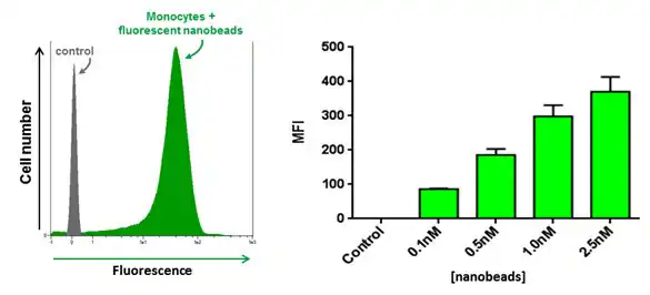 Internalization of our fluorescent nanobeads in human primary CD14+ monocytes as probed by flow cytometry. Meaning fluorescence intensity increases as a function of nanobeads concentration