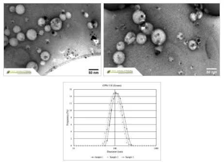 Figure 2. CPNs display excellent uniformity in size and shape, as shown in the Transmission Electron Microscopy (TEM) above, and Dynamic Light Scattering (DLS) below. Image Credit: Merck