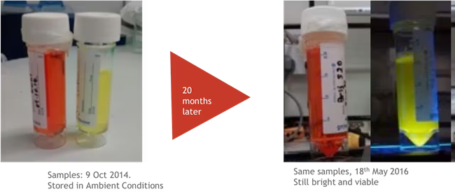 Figure 6. CPNs remain photostable for up to 24 months, retaining their immense fluorescence over a long period of storage. Image Credit: Merck