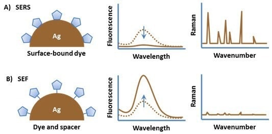 (A) An organic fluorophore attached directly to a metal substrate typically has quenched fluorescence but a strong surface enhanced Raman spectrum. (B) Spacing the fluorophore off of the metal surface results in surface enhanced fluorescence.