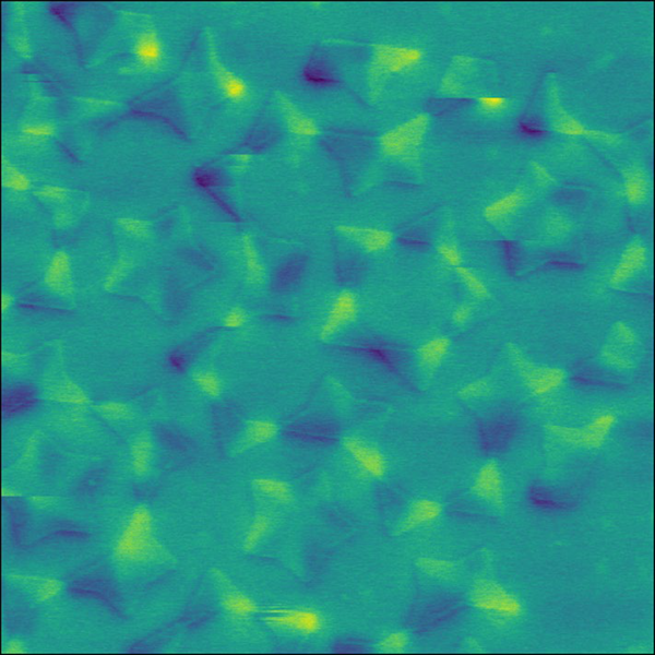 MFM image of stray magnetic fields between the nanomagnets in artificial spin ice. Arrays of nanomagnets are being used in neuromorphic devices to mimic how the brain operates in order to increase computation capabilities without scaling up power consumption. MFM, and variable magnetic field sample holder were used to study the evolution of these magnetic structures and how they interact with each other. Image size: 13 x 13 µm2.