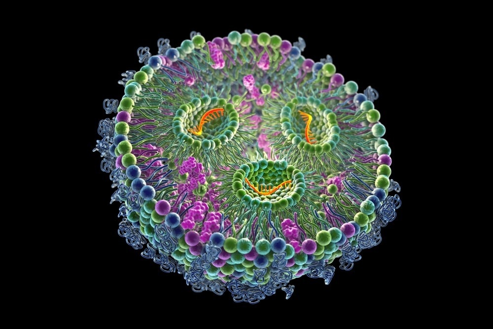 Lipid nanoparticle mRNA vaccine, a type of vaccine used against Covid-19 and influenza.